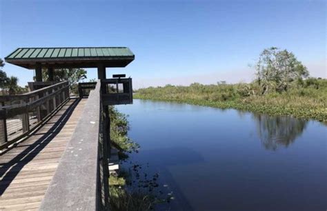 Alligator Alley: 'Boring' road can be a gateway to Everglades experiences