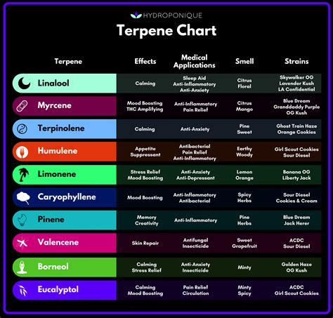 Printable Terpene Chart