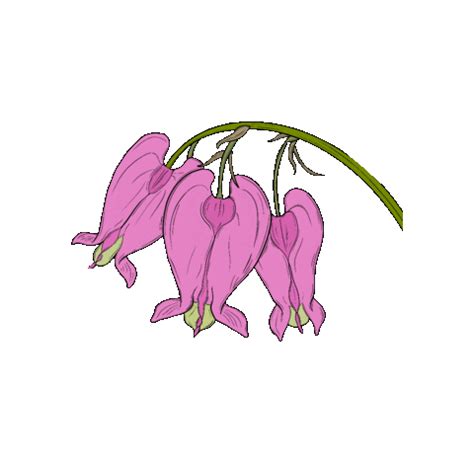 Native Plants GIFs on GIPHY - Be Animated