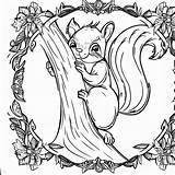 Squirrel Coloring Page – Color My Pages sketch template