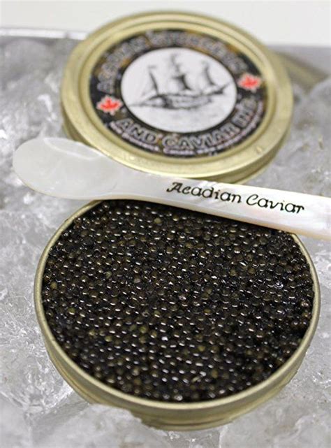 Acadian's Premium Atlantic Sturgeon Caviar (Wild & Sustainable) (1 x 30 Gram tin) | Food ...