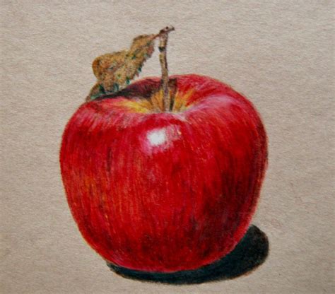 Apple Drawing by emueller on deviantART | Pintura de manzana, Manzanas dibujo, Acuarela de fruta