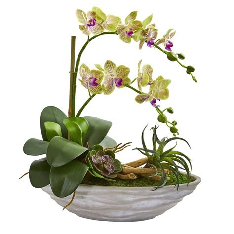 Phalaenopsis Orchid and Succulent Artificial Arrangement in White Vase | Orchid flower ...