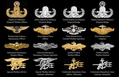 Pin on UNITED STATES ARMY BADGES UNITED STATES NAVY BADGES UNITED STATES AIR FORCE BADGESUNITED ...