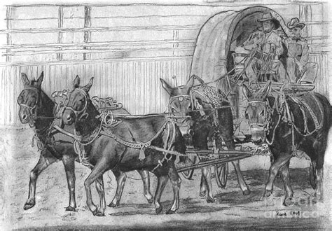 Mule Train at the Rodeo Drawing by Russ Smith - Fine Art America