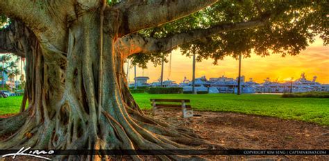 Sunset at the Park Palm Beach Island | HDR image taken from … | Flickr