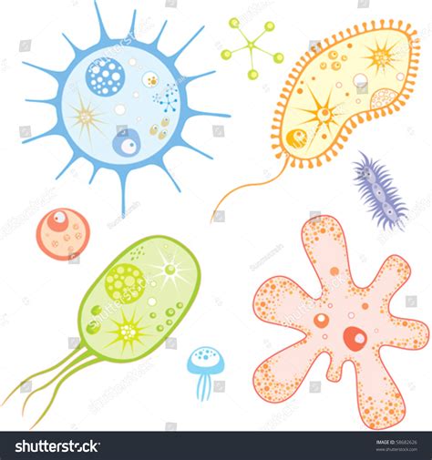 Set Cartoon Bacteria Other Microorganisms Bright: เวกเตอร์สต็อก (ปลอด ...