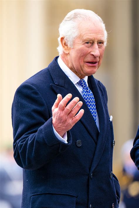 King Charles' Fingers: Photos of His Swollen Hands | In Touch Weekly