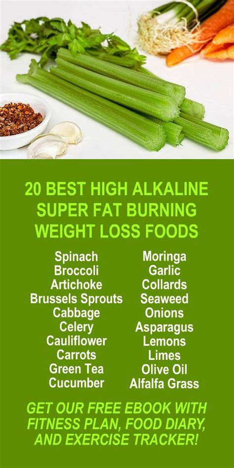 Free alkaline diet meal plan for weight loss - What Is an Alkaline ...