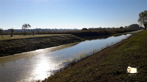 Birdwatching in the Delta of Po River | Discovering and traveling Romagna. Food, Wine, History ...