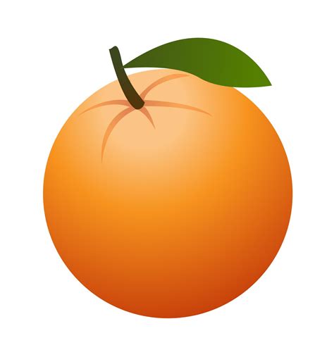 Hd art orange clipart fruit drawing jpg – Clipartix