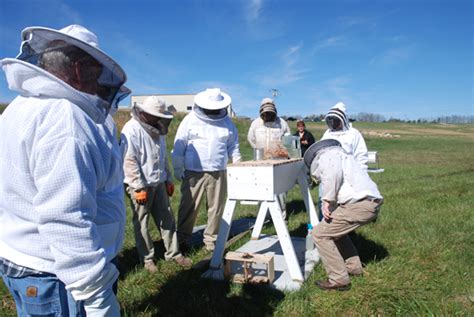 Two Bee Schools coming in January - Beekeeper Magazine