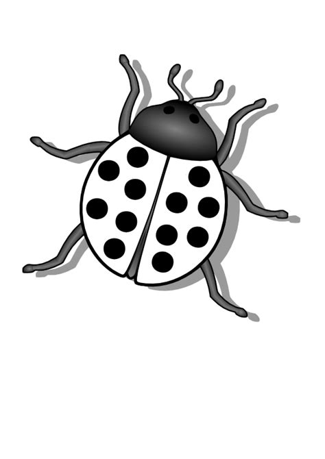 Insects Clipart Black And White