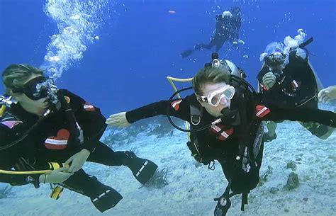 Dive Paradise Cozumel Announces Adaptive Scuba Diving Options ...