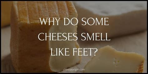 Why Do Some Cheeses Smell Like Feet? - Cheese Origin