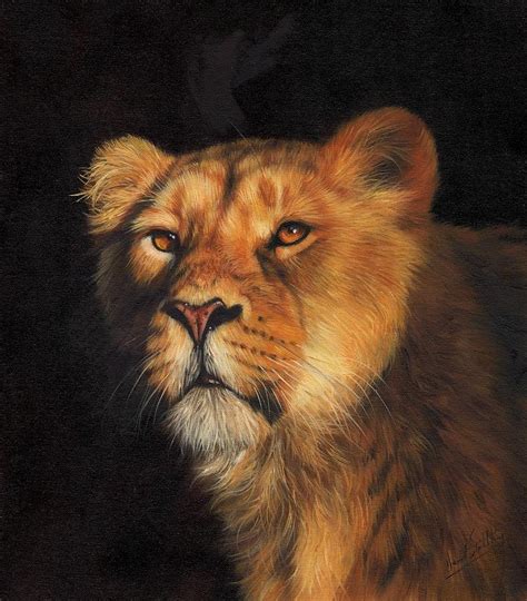 Portrait Of A Lioness Painting by David Stribbling