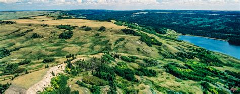 Cypress Hills Canada | Cypress Hills Interprovincial Park