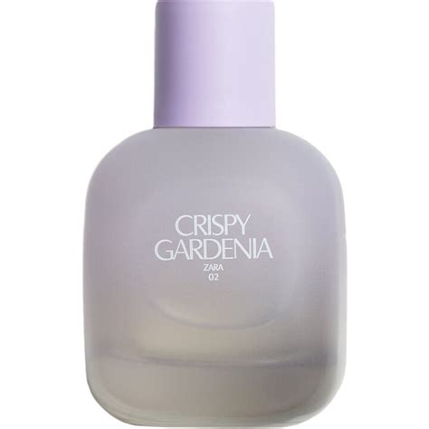 Top 76+ imagen zara parfum gardenia dupe - fr.thptnganamst.edu.vn