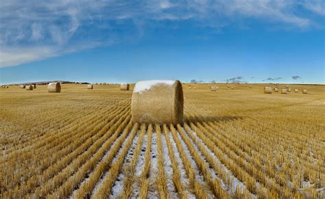 Hay field photo - VAST