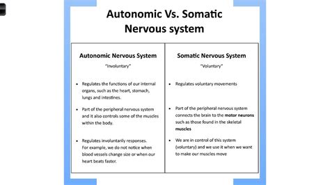 Peripheral Somatic Autonomic Nervous System