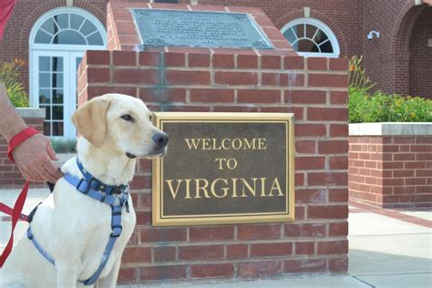 10 Unique Pet Friendly Day Trips in Virginia | TripsWithPets.com