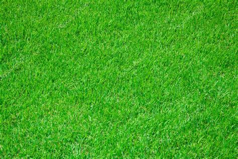 Grass on football stadium — Stock Photo © alexkalina #1036712