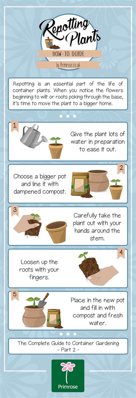 How to Repot a Plant - Primrose Blog | Gardening infographic, Plants ...