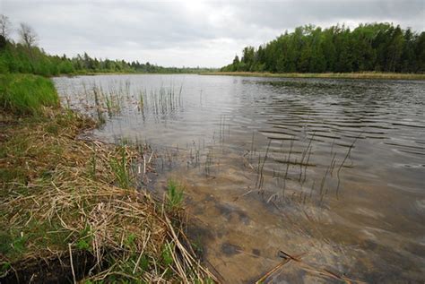 Mink River Estuary | Mink River Estuary Wisconsin Sate Natur… | Flickr