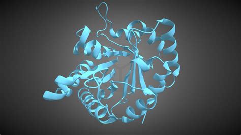 1TIM: STRUCTURE OF TRIOSE PHOSPHATE ISOMERASE - Download Free 3D model by MC (@EnriqueBumbury ...