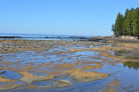 Botanical Beach Port Renfrew,BC | Beach, Natural landmarks, West coast