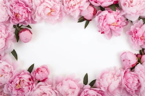 Premium AI Image | pink peonies on a white background.