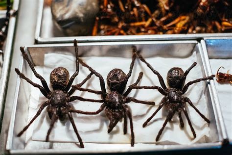 "Fried Spiders. Street Food In Thailand." by Stocksy Contributor "Mauro ...