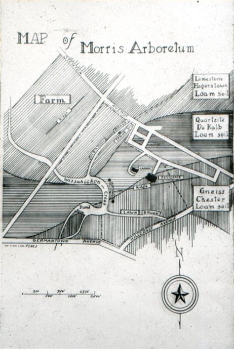 Maps | Morris Arboretum & Gardens