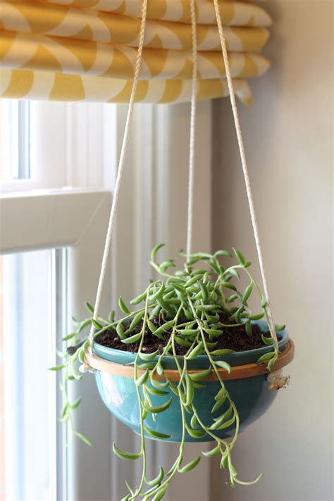 Hanging Succulents – How to Make a Hanging Succulent Planter | Hanging succulents, Diy hanging ...