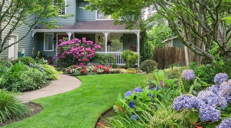 Shrubs and Perennials for a Colorful Summer Landscape | Platt Hill Nursery | Blog & Advice