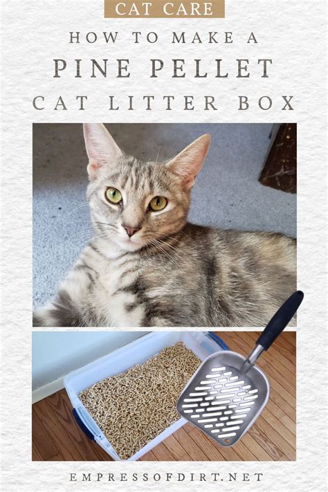 DIY Sifting Cat Litter Box for Pine Pellets in 2021 | Cat litter ...