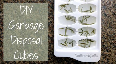 Easy Garbage Disposal Cleaning Cubes - Overthrow Martha