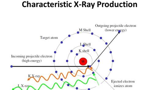 Diagram Of X Ray Production