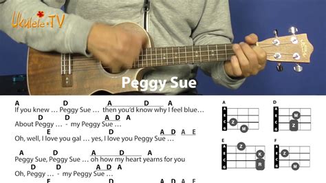 Peggy Sue - Buddy Holly, Chords & Lyrics, Beginner Ukulele Lesson - YouTube