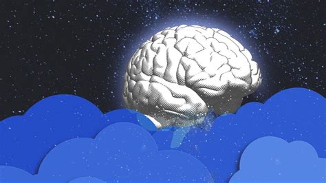 Here's what happens to your brain when you don't sleep in 2020 | What happened to you, Your ...