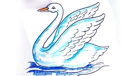 हंस कलर कैसे करे! | Coloring Swan Videos | How To Coloring Swan | Swan drawing, Drawings, Color