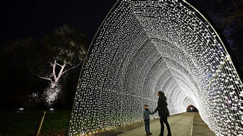 Why Kew Gardens' Christmas illuminations trail is sold out until January | Euronews