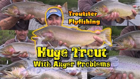 Massive Cutthroat and Cutbow Trout Video | Troutster.com - Fly Fishing ...