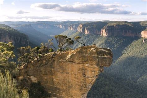 Blue Mountains National Park, Blue Mountains | Tickets & Tours - 2024