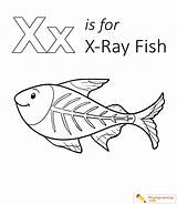 Free Printable X Ray Coloring Pages  Sheet Printables sketch template