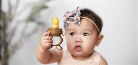 Moss and Fawn | Baby teething remedies, Baby mesh feeder, Teething remedies