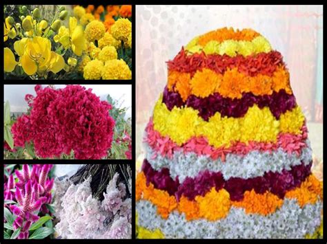 Bathukamma Flowers Names In Telugu - Home Alqu