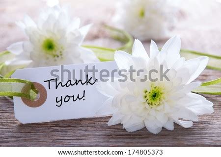 Thank You Flowers Stock Photos, Images, & Pictures | Shutterstock