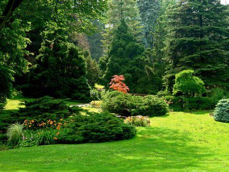 Sunny garden - Forests & Nature Background Wallpapers on Desktop Nexus (Image 573166)