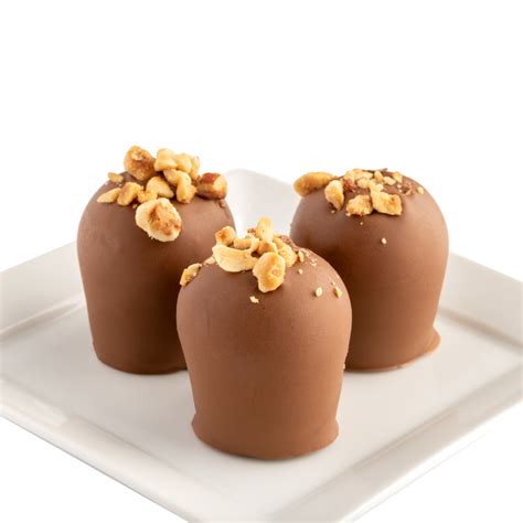 Hazelnut Truffles – Euphoria Chocolate Company